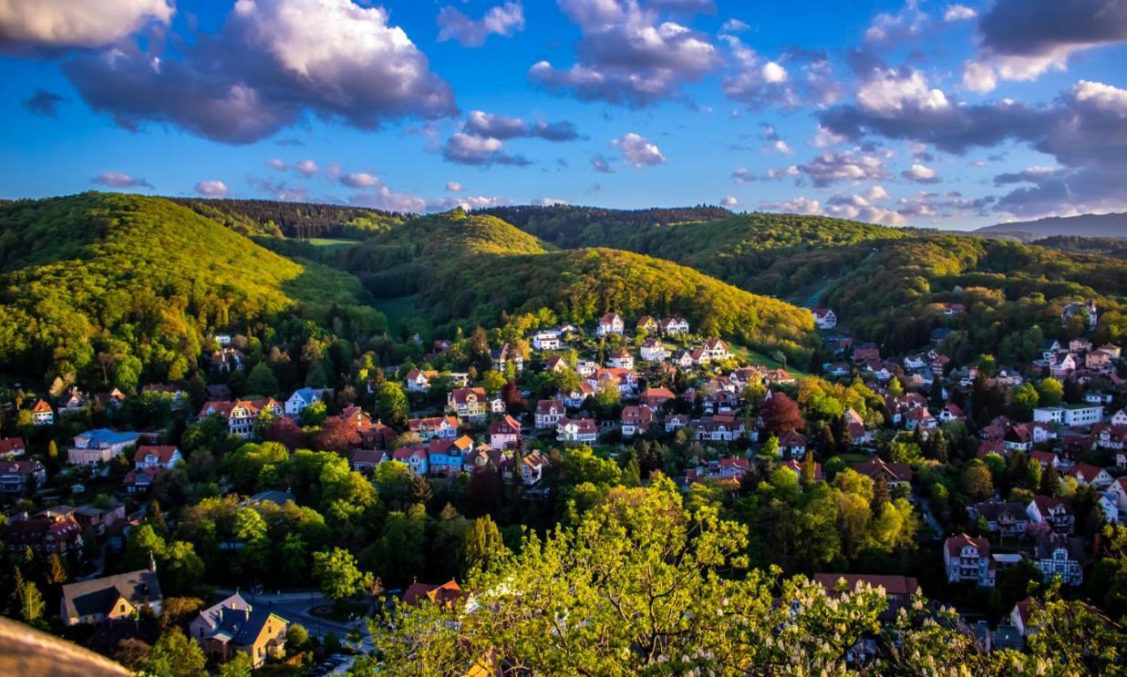Chalet Mit Schlossblick Wernigerode, Chalet 2 Buitenkant foto